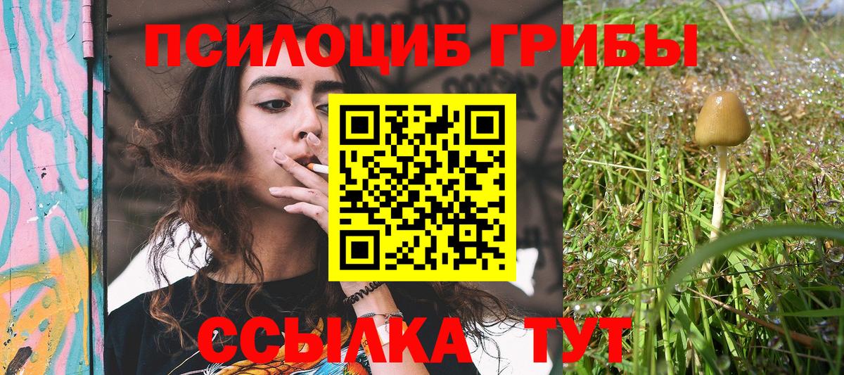 Галлюциногенные грибы прущие грибы  Вход с VPN  Сызрань 