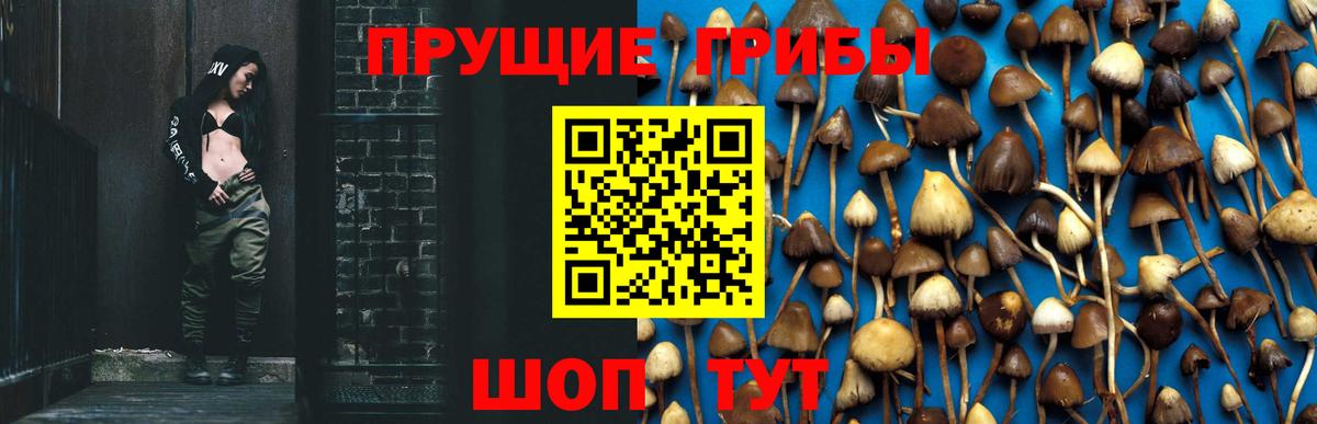Галлюциногенные грибы мухоморы Сызрань